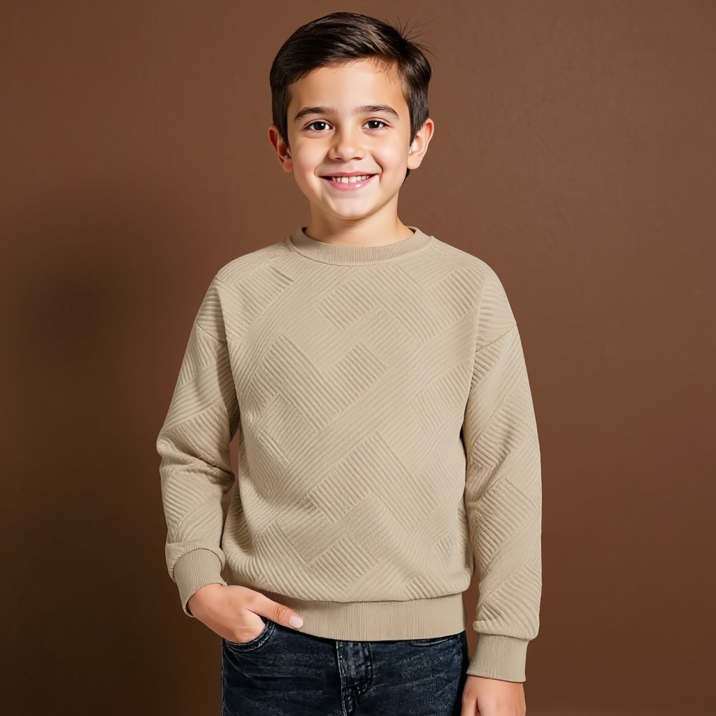 Boys Geometric Pattern Sweatshirts With Long Sleeves