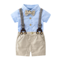 Baby Boys 2 Piece Summer Shirt And Shorts Outfit Set