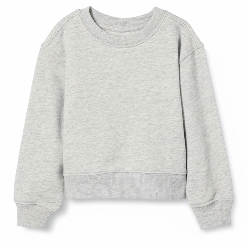 Boys Regular Fit Sweatshirt