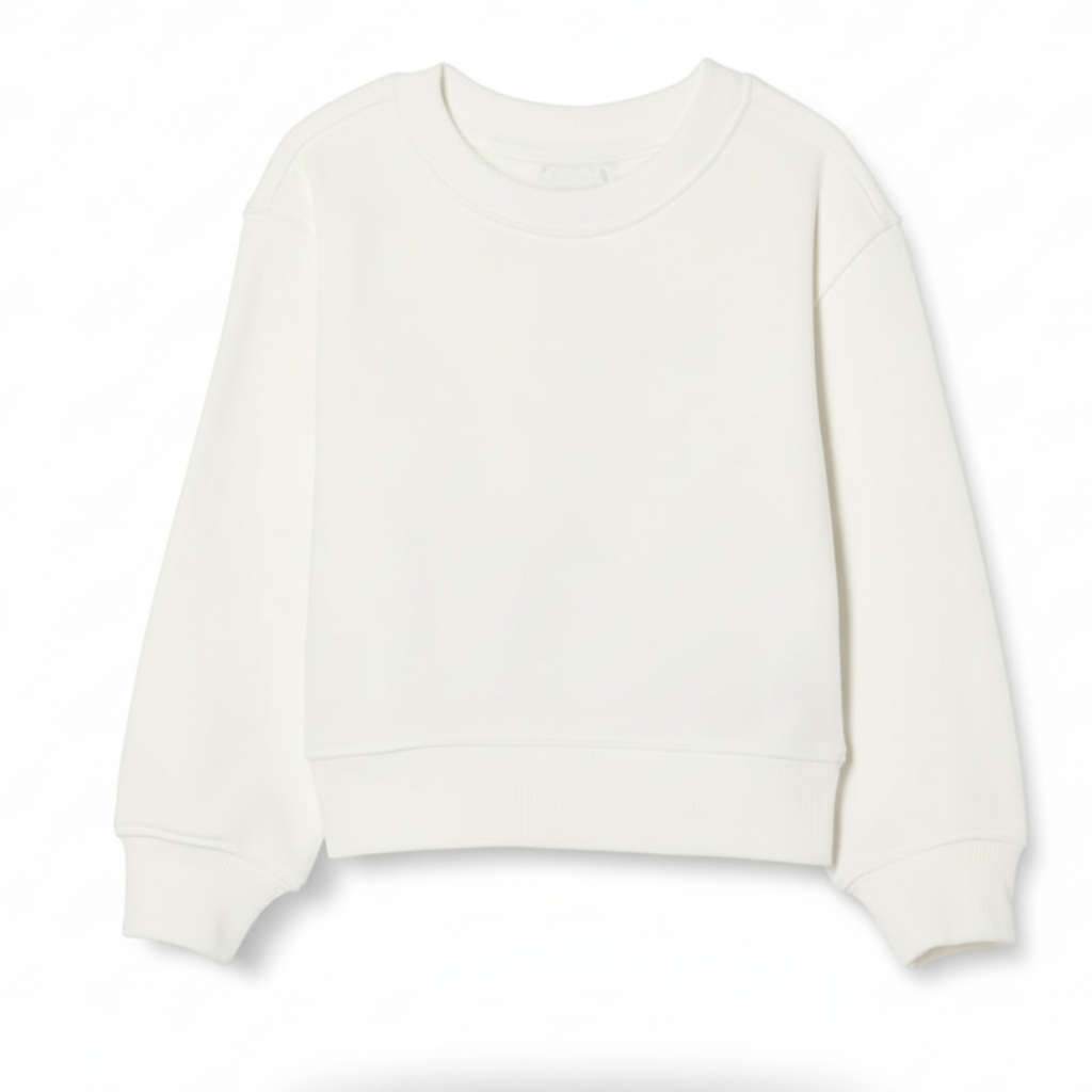 Boys Regular Fit Sweatshirt