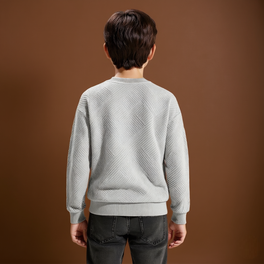 Boys Geometric Pattern Sweatshirts With Long Sleeves