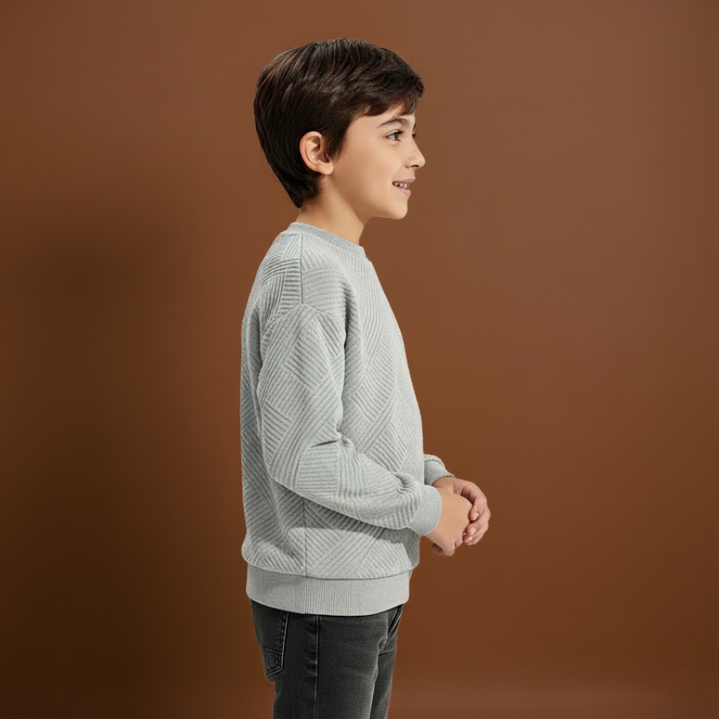 Boys Geometric Pattern Sweatshirts With Long Sleeves
