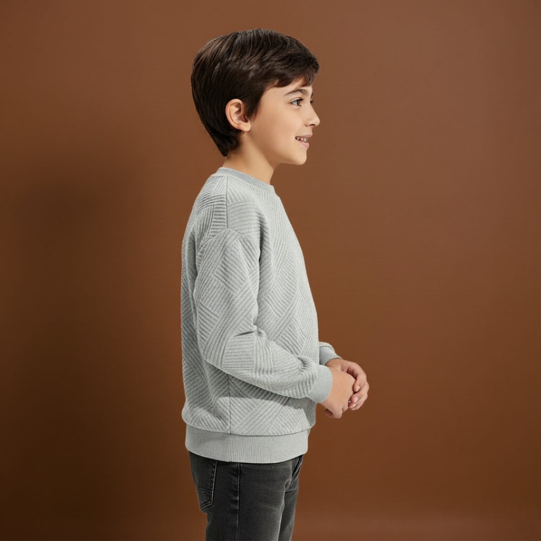 Boys Geometric Pattern Sweatshirts With Long Sleeves