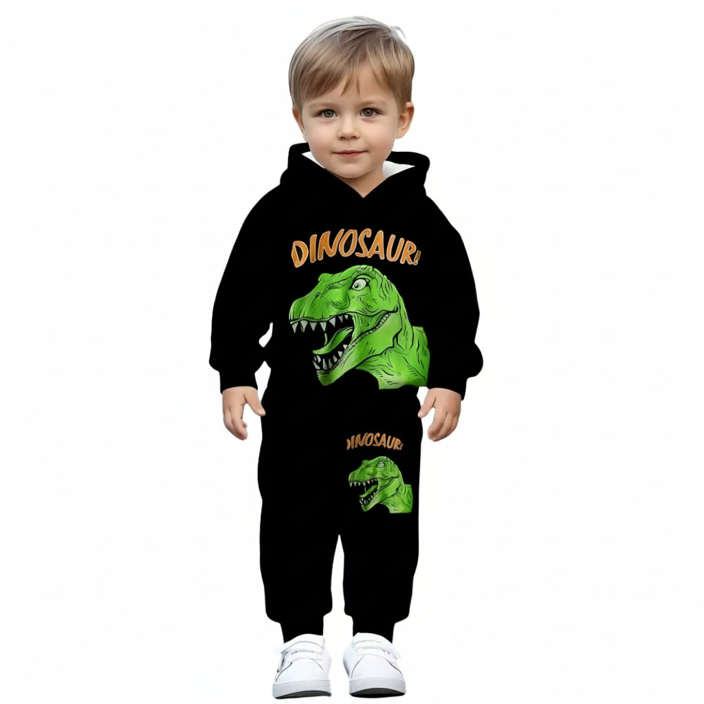 Dinosaur Graphic Hoodie And Pants Set