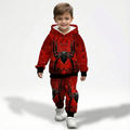 Boys Spider Print Hooded Sweatshirt And Pant Set