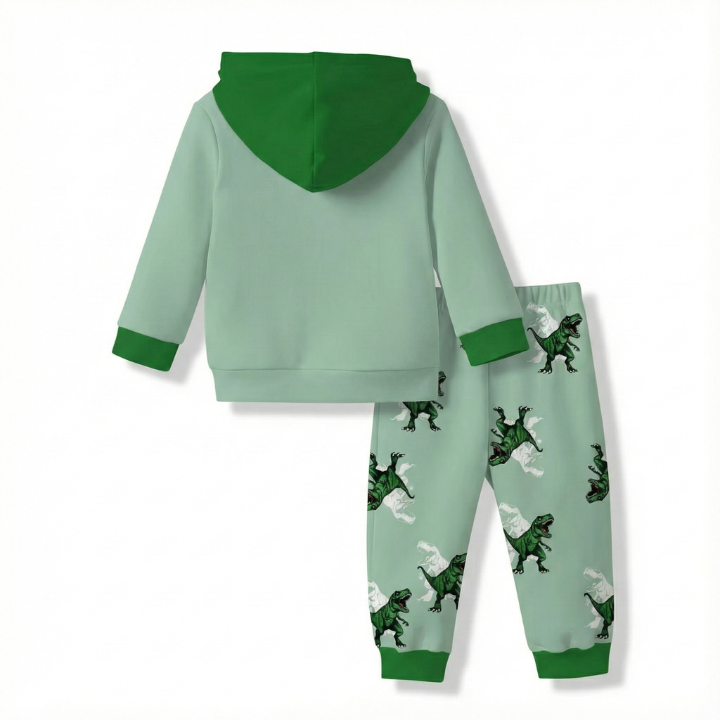 Boys Dinosaur Print Hoodie And Pants Set